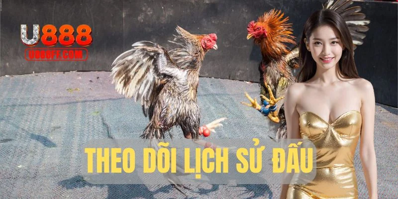 Theo dõi lịch sử đấu